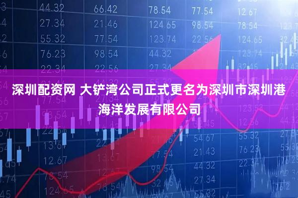 深圳配资网 大铲湾公司正式更名为深圳市深圳港海洋发展有限公司