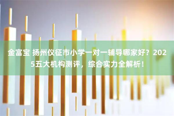 金富宝 扬州仪征市小学一对一辅导哪家好？2025五大机构测评，综合实力全解析！
