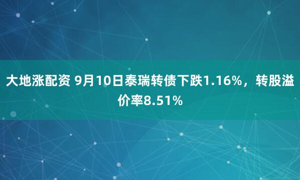 大地涨配资 9月10日泰瑞转债下跌1.16%，转股溢价率8.51%